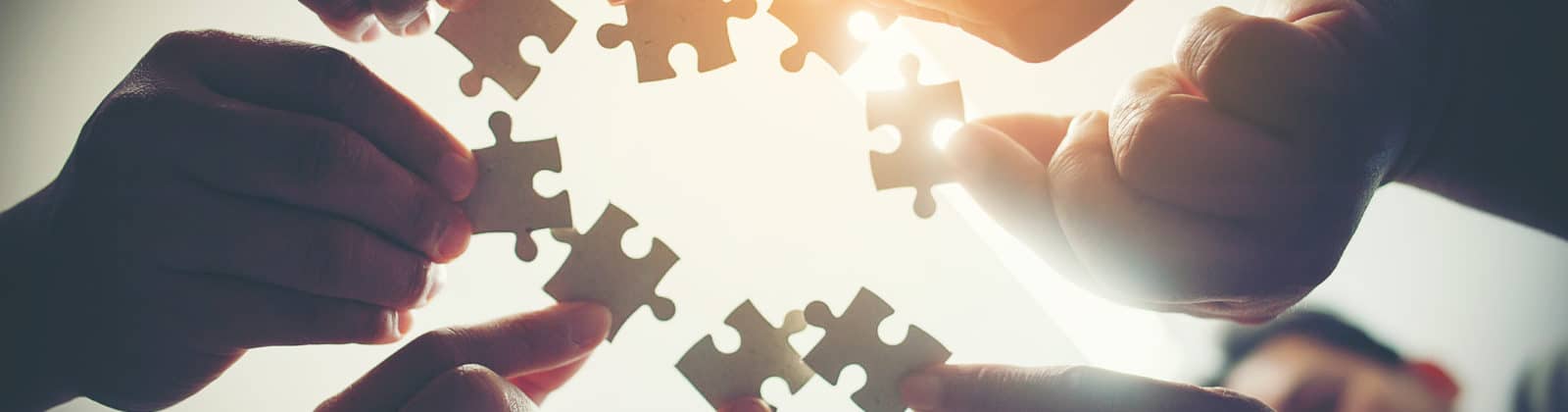 Construir alternativas buscando una intervención transdisciplinar